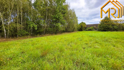 1 ha działki rolnej w gminie Szerzyny  - Żurowa  -
małopolskie Zdjęcie nr 9