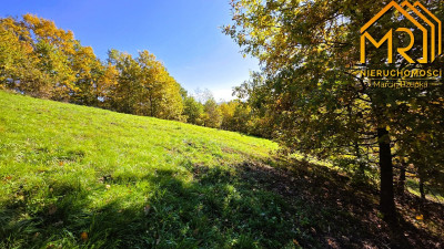 Widokowa działka rolna z panoramą na Dunajec - Melsztyn  -
małopolskie Zdjęcie nr 10