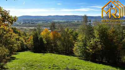 Widokowa działka rolna z panoramą na Dunajec - Melsztyn  -
małopolskie Zdjęcie nr 7