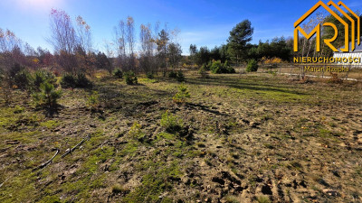 Działka z pełną dokumentacją budowlaną w gminie Cz - Czarna  -
podkarpackie Zdjęcie nr 10