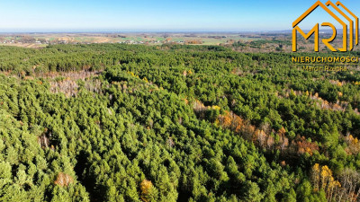 Działka z pełną dokumentacją budowlaną w gminie Cz - Czarna  -
podkarpackie Zdjęcie nr 9