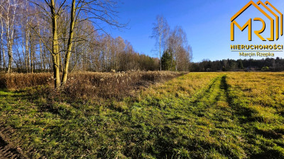 Atrakcyjna działka budowlana w gminie Skrzyszów - Pogórska Wola  -
małopolskie Zdjęcie nr 11