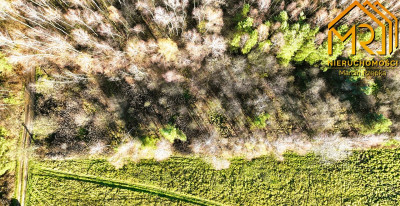 Atrakcyjna działka budowlana w gminie Skrzyszów - Pogórska Wola  -
małopolskie Zdjęcie nr 5