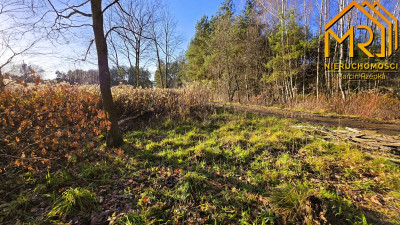 Atrakcyjna działka budowlana w gminie Skrzyszów - Pogórska Wola  -
małopolskie Zdjęcie nr 7