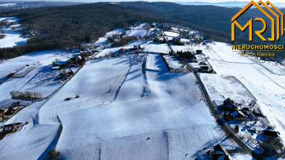 Działka leśna 035 ha w gminie Pleśna - Świebodzin  -
małopolskie Zdjęcie nr 3
