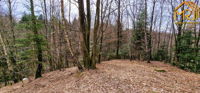 Duża działka rolno  leśna w gm Gromnik - Brzozowa  -
małopolskie Zdjęcie nr 11