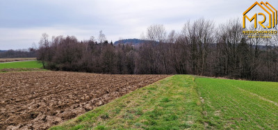 Duża działka rolno  leśna w gm Gromnik - Brzozowa  -
małopolskie Zdjęcie nr 6