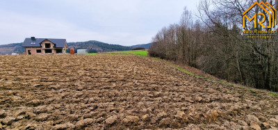 Duża działka rolno  leśna w gm Gromnik - Brzozowa  -
małopolskie Zdjęcie nr 9