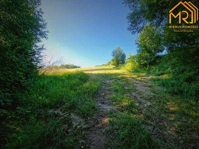 Działka 479 ha z możliwością uzyskania WZ - Wola Lubecka  -
małopolskie Zdjęcie nr 10