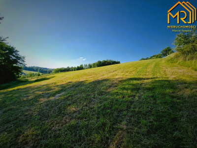 Działka 479 ha z możliwością uzyskania WZ - Wola Lubecka  -
małopolskie Zdjęcie nr 11