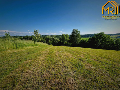 Działka 479 ha z możliwością uzyskania WZ - Wola Lubecka  -
małopolskie Zdjęcie nr 12