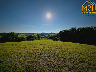 Działka 479 ha z możliwością uzyskania WZ - Wola Lubecka  -
małopolskie Zdjęcie nr 13