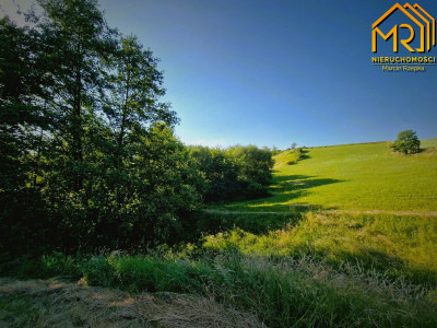 Działka 479 ha z możliwością uzyskania WZ - Wola Lubecka  -
małopolskie Zdjęcie nr 14