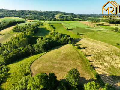 Działka 479 ha z możliwością uzyskania WZ - Wola Lubecka  -
małopolskie Zdjęcie nr 2
