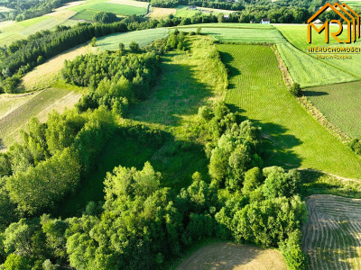 Działka 479 ha z możliwością uzyskania WZ - Wola Lubecka  -
małopolskie Zdjęcie nr 6