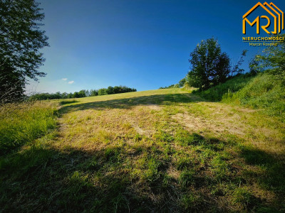 Działka 479 ha z możliwością uzyskania WZ - Wola Lubecka  -
małopolskie Zdjęcie nr 9