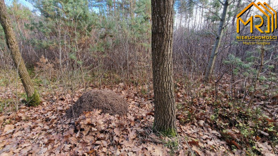 Działka rolna w Starych Żukowicach - Stare Żukowice  -
małopolskie Zdjęcie nr 12