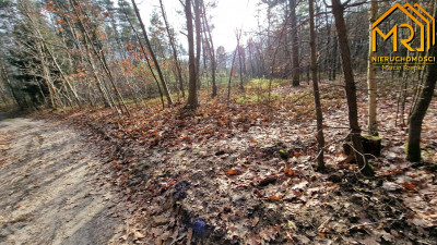 Działka rolna w Starych Żukowicach - Stare Żukowice  -
małopolskie Zdjęcie nr 3