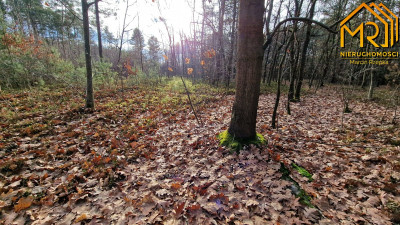 Działka rolna w Starych Żukowicach - Stare Żukowice  -
małopolskie Zdjęcie nr 5