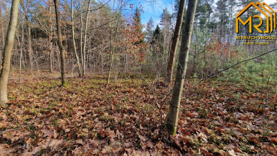 Działka rolna w Starych Żukowicach - Stare Żukowice  -
małopolskie Zdjęcie nr 6