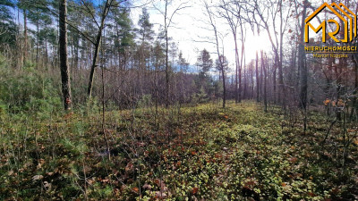 Działka rolna w Starych Żukowicach - Stare Żukowice  -
małopolskie Zdjęcie nr 7