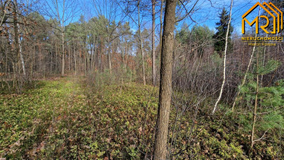 Działka rolna w Starych Żukowicach - Stare Żukowice  -
małopolskie Zdjęcie nr 9