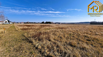Działka budowlana w gminie Skrzyszów  - Ładna  -
małopolskie Zdjęcie nr 7