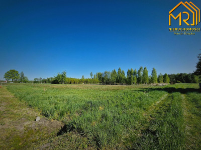 Działka pod zabudowę w gminie Pilzno - Machowa  -
podkarpackie Zdjęcie nr 13