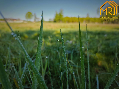 Działka pod zabudowę w gminie Pilzno - Machowa  -
podkarpackie Zdjęcie nr 9