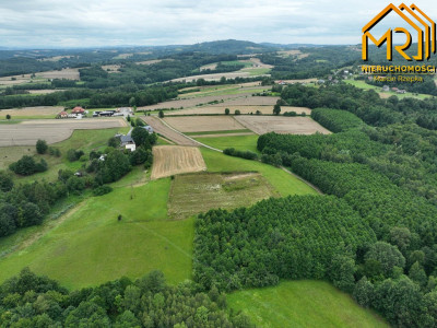 Działka leśna w gminie Ryglice - Lubcza  -
małopolskie Zdjęcie nr 10