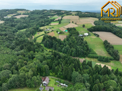 Działka leśna w gminie Ryglice - Lubcza  -
małopolskie Zdjęcie nr 2