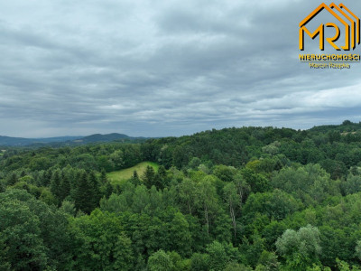 Działka leśna w gminie Ryglice - Lubcza  -
małopolskie Zdjęcie nr 4