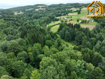 Działka leśna w gminie Ryglice - Lubcza  -
małopolskie Zdjęcie nr 5