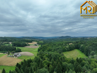 Działka leśna w gminie Ryglice - Lubcza  -
małopolskie Zdjęcie nr 6