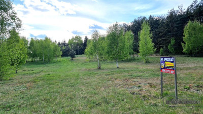 Pięknie położone działki budowlane pod lasem - Drężno  -
Zachodniopomorskie Zdjęcie nr 10