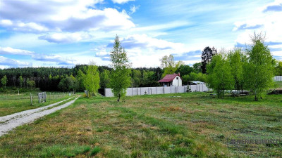 Pięknie położone działki budowlane pod lasem - Drężno  -
Zachodniopomorskie Zdjęcie nr 11