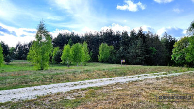 Pięknie położone działki budowlane pod lasem - Drężno  -
Zachodniopomorskie Zdjęcie nr 12