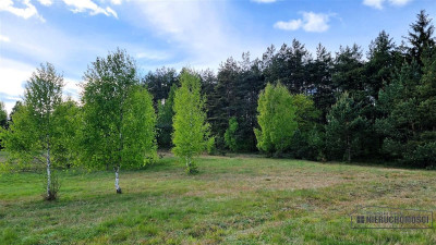 Pięknie położone działki budowlane pod lasem - Drężno  -
Zachodniopomorskie Zdjęcie nr 13