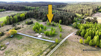Pięknie położone działki budowlane pod lasem - Drężno  -
Zachodniopomorskie Zdjęcie nr 4
