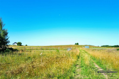 Turowo - ok 3 km od Szczecinka - Turowo   -
Zachodniopomorskie Zdjęcie nr 13