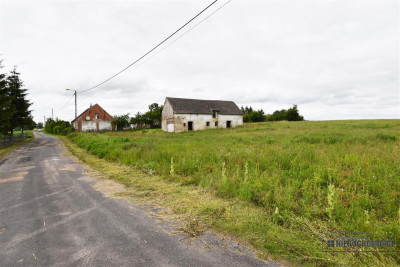 Duża działka blisko Okonka Glinki Mokre - Glinki Mokre  -
Wielkopolskie Zdjęcie nr 2