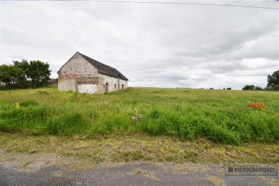 Duża działka blisko Okonka Glinki Mokre - Glinki Mokre  -
Wielkopolskie Zdjęcie nr 3