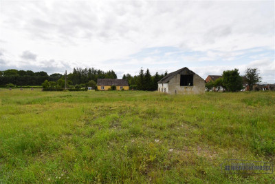 Duża działka blisko Okonka Glinki Mokre - Glinki Mokre  -
Wielkopolskie Zdjęcie nr 4