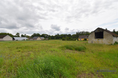 Duża działka blisko Okonka Glinki Mokre - Glinki Mokre  -
Wielkopolskie Zdjęcie nr 7