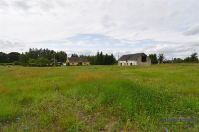 Duża działka blisko Okonka Glinki Mokre - Glinki Mokre  -
Wielkopolskie Zdjęcie nr 8