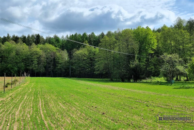 Działka budowlana przy zakolu rzeki Parsęta - Radomyśl  -
Zachodniopomorskie Zdjęcie nr 10