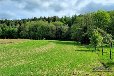 Działka budowlana przy zakolu rzeki Parsęta - Radomyśl  -
Zachodniopomorskie Zdjęcie nr 11