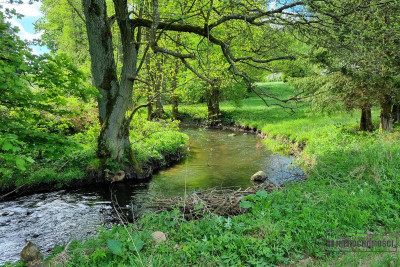 Działka budowlana przy zakolu rzeki Parsęta - Radomyśl  -
Zachodniopomorskie Zdjęcie nr 13