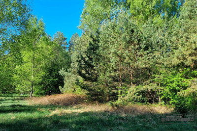 Działka budowlana blisko lasu i jeziora - Gwda Wielka   -
Zachodniopomorskie Zdjęcie nr 13