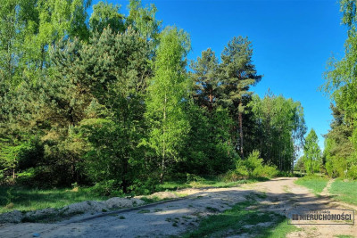 Działka budowlana blisko lasu i jeziora - Gwda Wielka   -
Zachodniopomorskie Zdjęcie nr 14